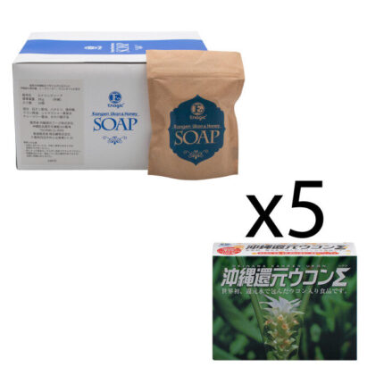 Enagic Sigma/Soap DD