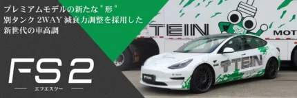 TEIN FS2